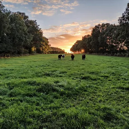 Lägenhet Ferienwohnung Luett Quickborn *